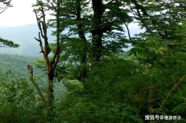 解惑蜗牛,专家建议停止农村人烧柴火,到底是有何危害呢?问答平台