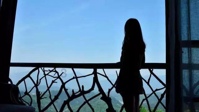 知名女星司机在高速上倒车，跟车粉丝竟效仿