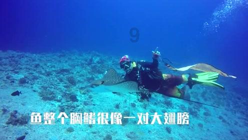 入睡前的一个小时，决定了夫妻关系的长久程度，很关键