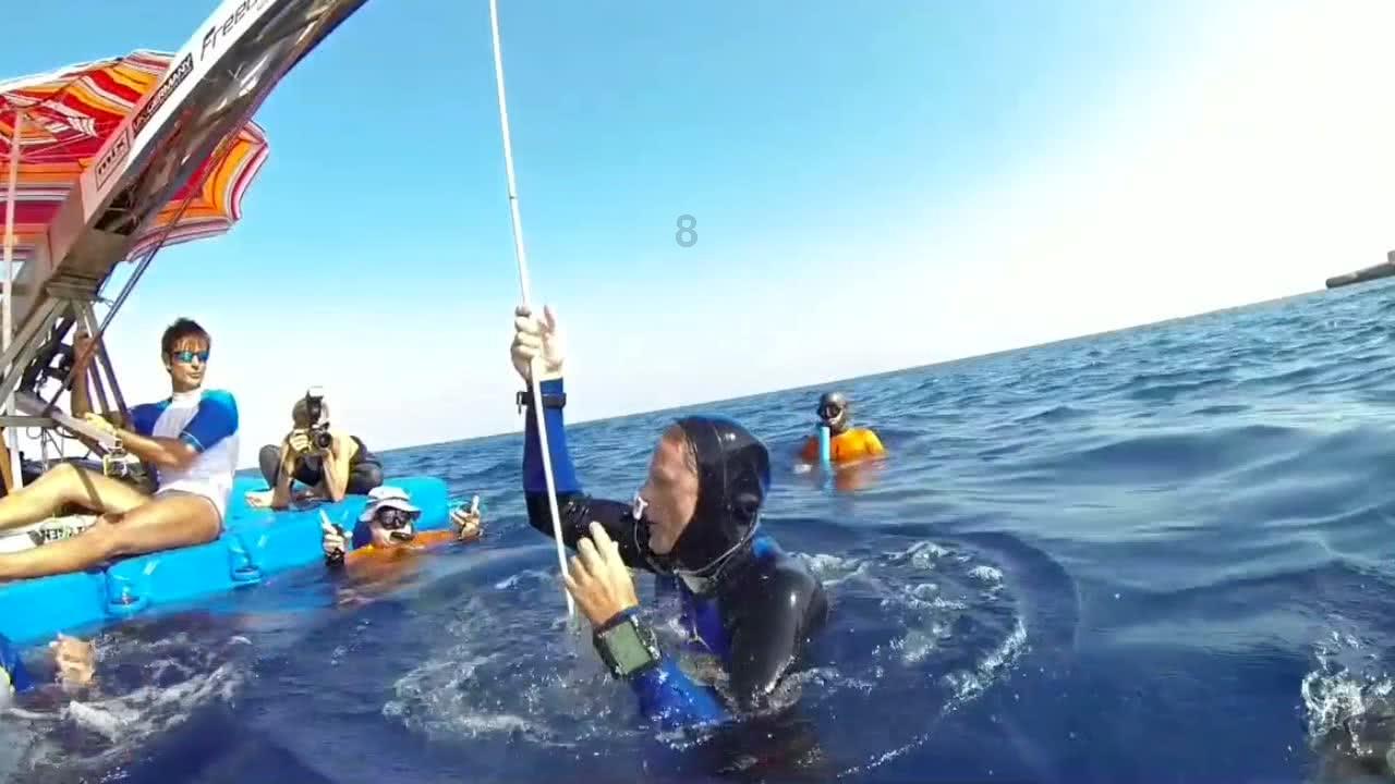 数码宝贝究极对决