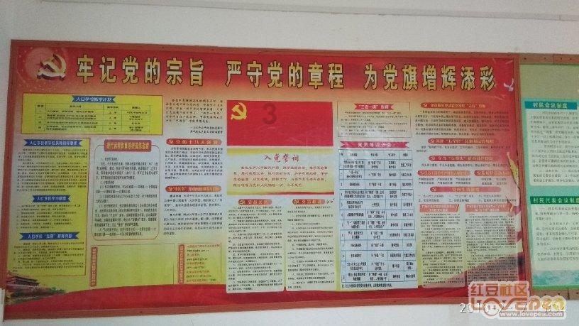 备孕时查出少弱精症怎么办？