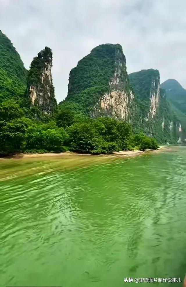 这是什么兰花？